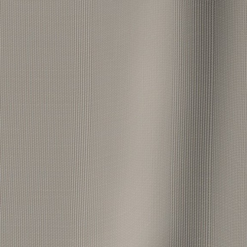 Anecdote 85 Cocoa