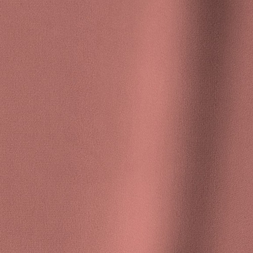 Pleasant 47 Blusher