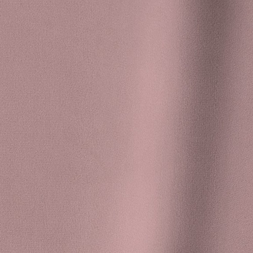 Pleasant 65 Orchid